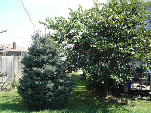 2833 Blackburn Ave, Ashland, KY 41101